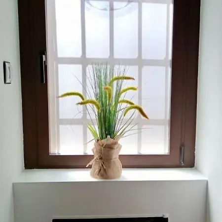 La Casita זמורה