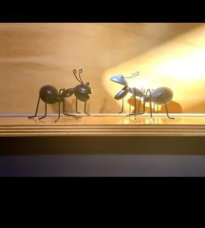 La Casita זמורה